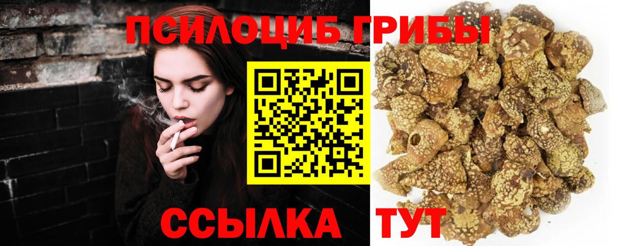 Галлюциногенные грибы MAGIC MUSHROOMS  наркотики  Димитровград  Вход с VPN  Галлюциногенные грибы прущие грибы 