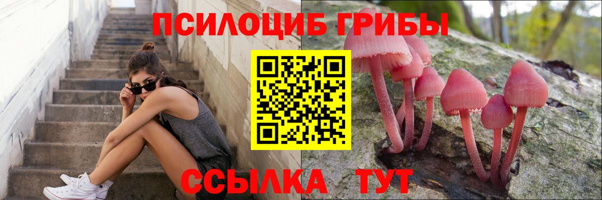 Галлюциногенные грибы Cubensis Димитровград